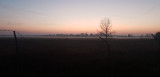 Tiszaföldvár
