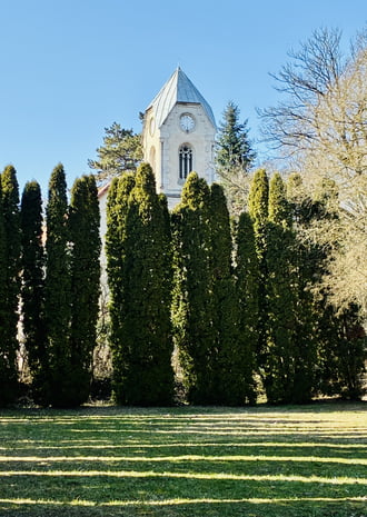 Alcsúti arborétumban