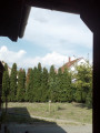 Dabas