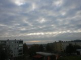 mtspider fotója