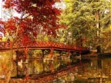 Híd az Őszbe