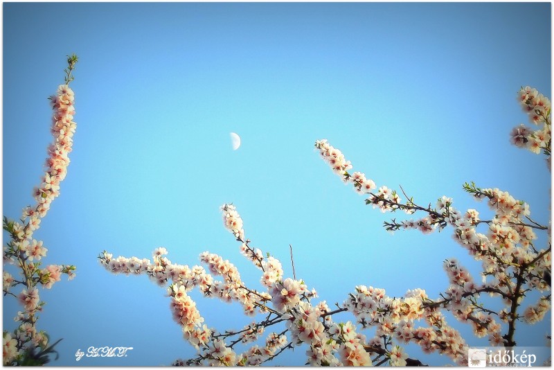 Tavaszi Hold