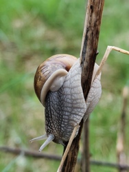 Bükki Nemzeti Park 