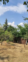 Őrbottyán