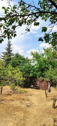 Őrbottyán