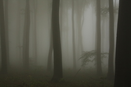 pilis-ködben