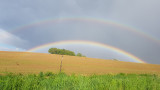 Szivárvány