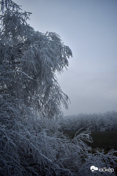 Dér, köd és zúzmara