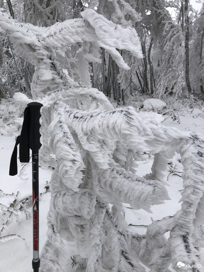 2023.01.26_Gyönyörű zúzmara képződés a Kőszegi-hegyen 650 méter felett. Szélcsend, -3 C fok, 20 cm hó.