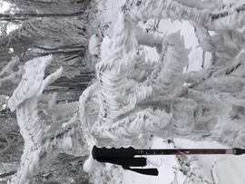 2023.01.26_Gyönyörű zúzmara képződés a Kőszegi-hegyen 650 méter felett. Szélcsend, -3 C fok, 20 cm hó.