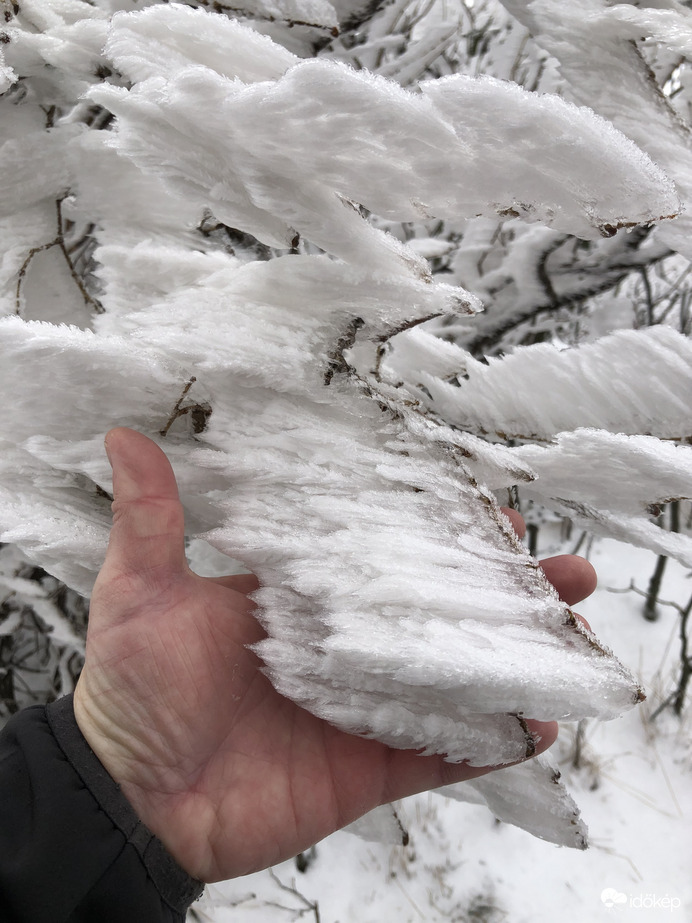 2023.01.26_Gyönyörű zúzmara képződés a Kőszegi-hegyen 650 méter felett. Szélcsend, -3 C fok, 20 cm hó.