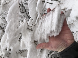 2023.01.26_Gyönyörű zúzmara képződés a Kőszegi-hegyen 650 méter felett. Szélcsend, -3 C fok, 20 cm hó.