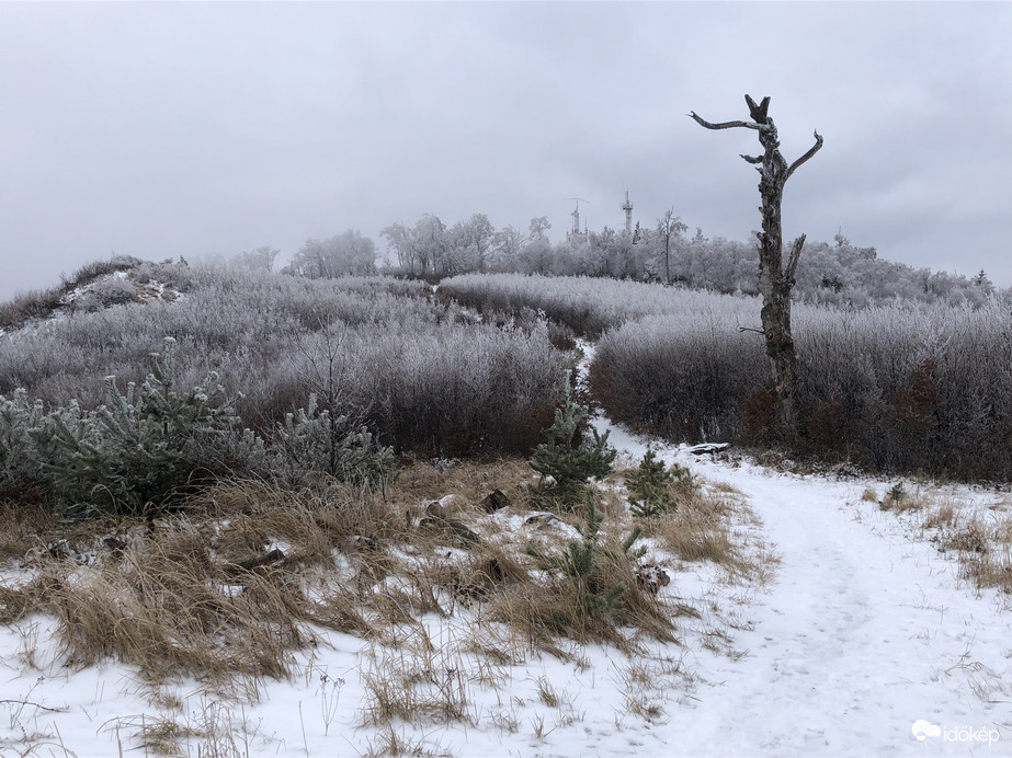 2023.01.26_Gyönyörű zúzmara képződés a Kőszegi-hegyen 650 méter felett. Szélcsend, -3 C fok, 20 cm hó.