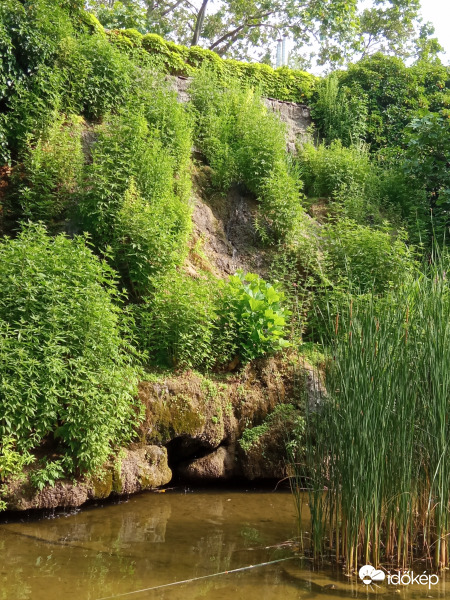 Margitsziget - nyár