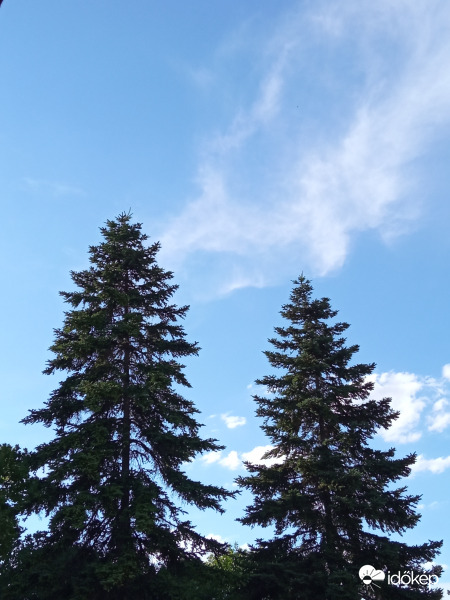 Óbudán tegnap este hatkor