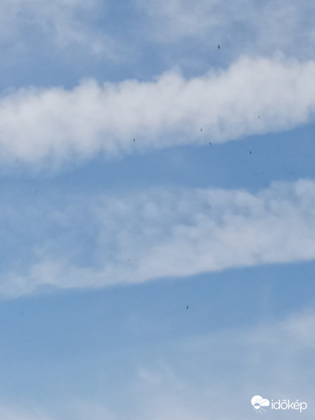 Pedig ott vannak a fecskék :(