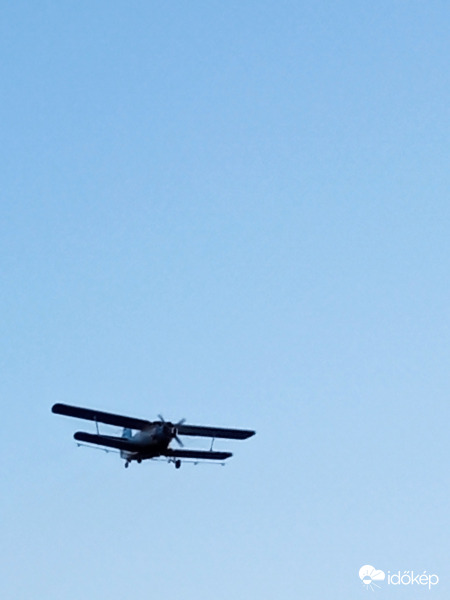 Ma este is jött a szúnyogírtó