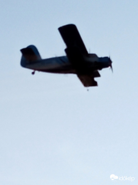 Ma este is jött a szúnyogírtó