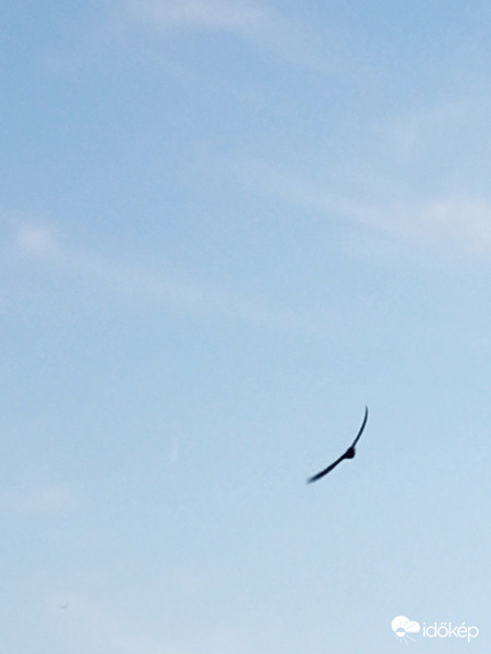 Alkonyodik egy fecskével