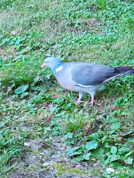 Na jó, csak egy fotót!