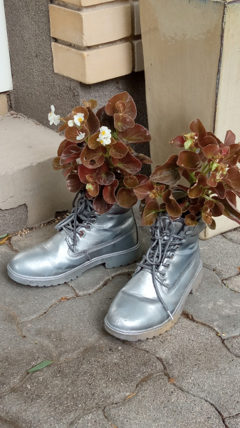 Cipő javító bolt előtt :)