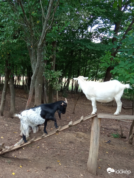 Nézzünk szét, mit lehet még enni! :)