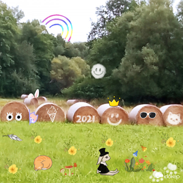 Egy kis játék - 2021. Nyár