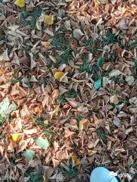 Talpunk alatt az ősz