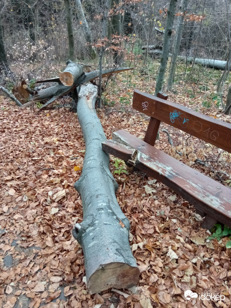 Ami tegnap (11.13.) lemaradt