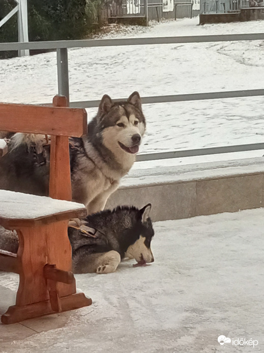 Megkóstolom a havat