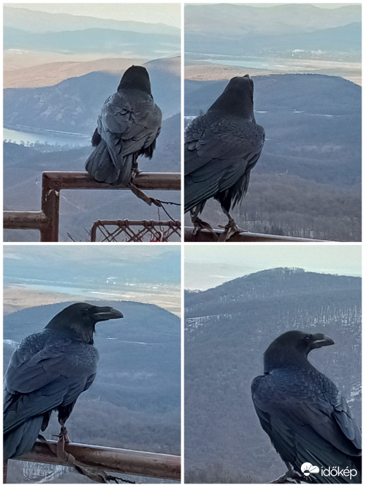 Dobogókő - holló szemmel