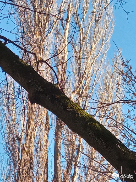 Gyönyörű, napfényes időjárás volt ma :)
