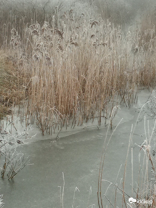 Poroszló - Tisza tó
