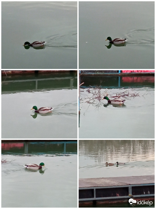 Iszom egyet, aztán megnézem mit lehet kajálni, hát ez nem jó, inkább úszom a csajommal.