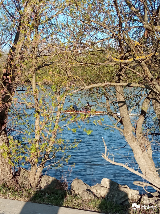 Sportolók a Dunán