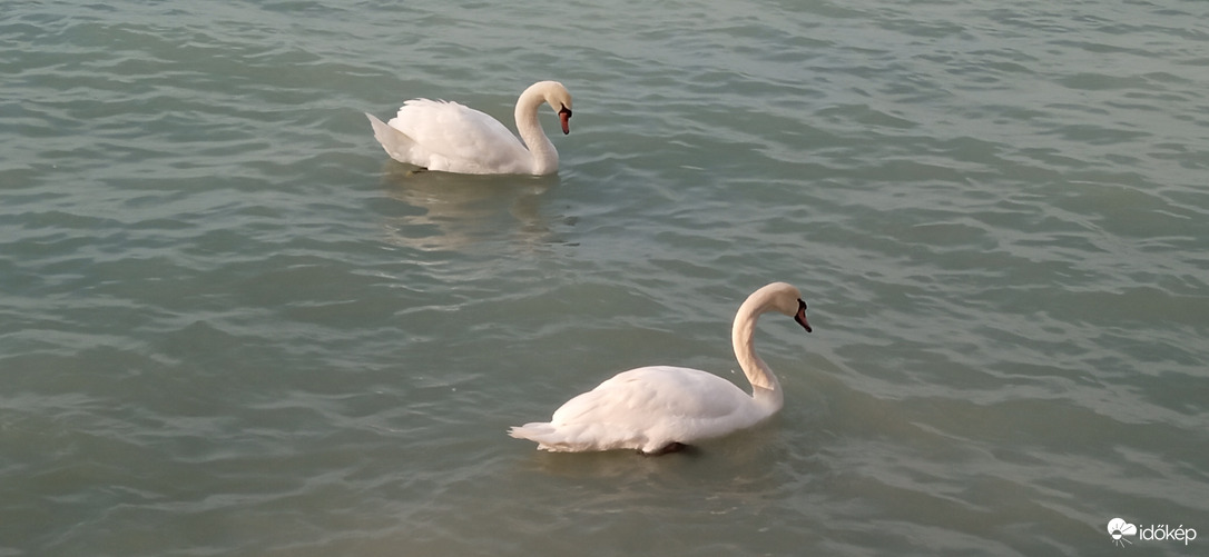 Balatonföldvár ☺️