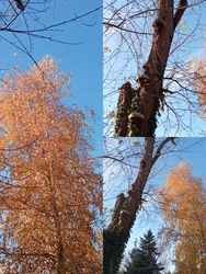 napfeny8 fotója