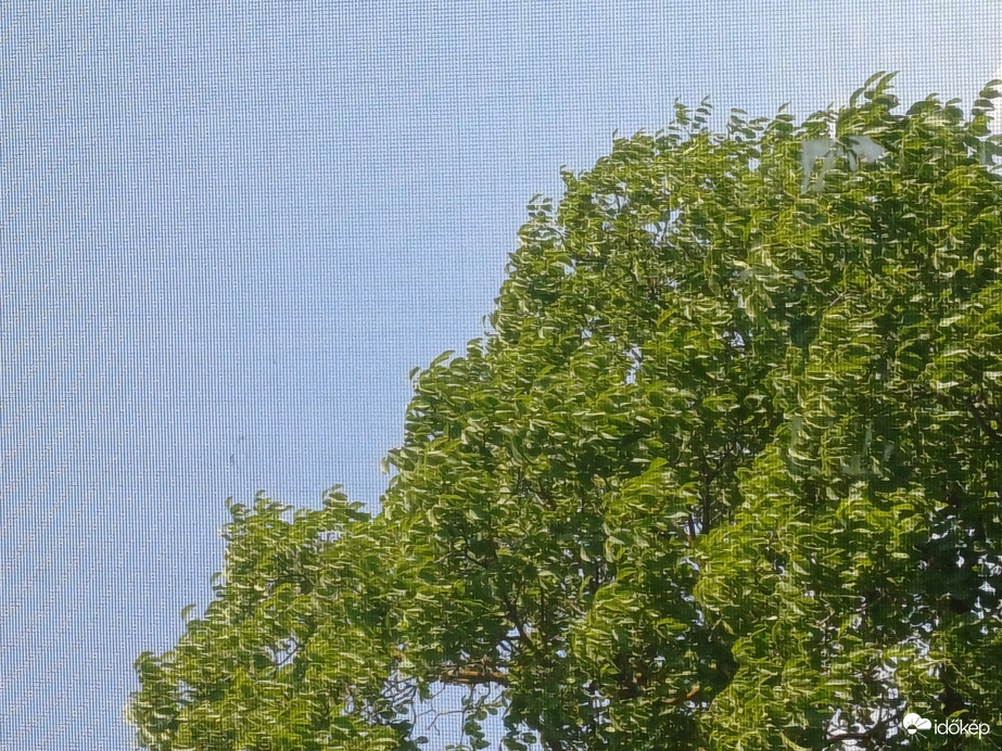 Sződliget