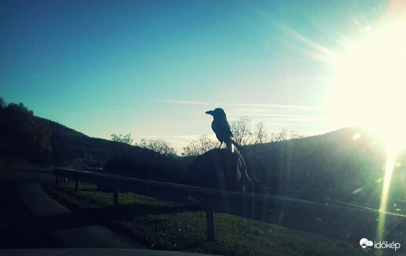 (Holló a kőn) 