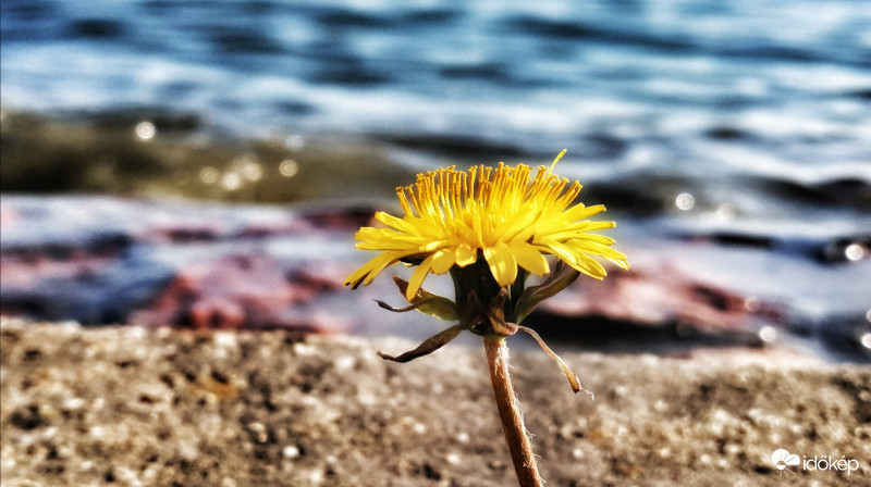 Egy éve ilyenkor Balatonkenesén