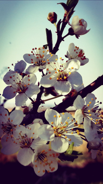 Elfagynak vagy túlélik