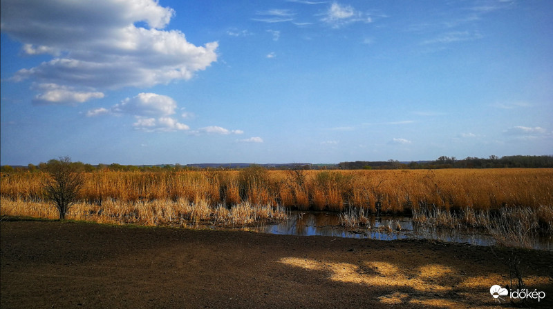 A vadakra is gondolnak