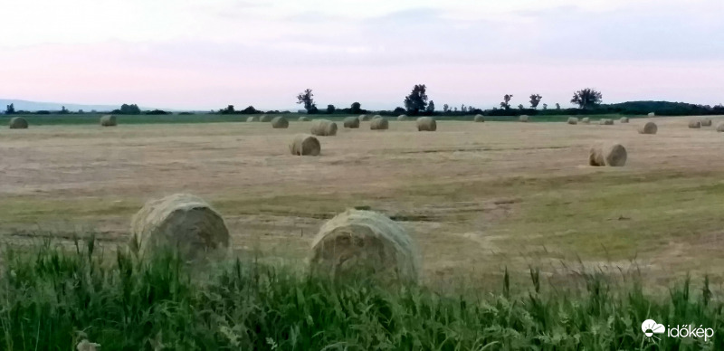 Kaszálás után