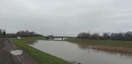 Tarna: