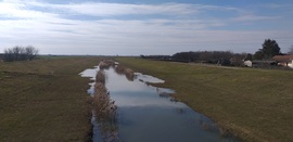 A megszelídült, békésen hömpölygő Tarna