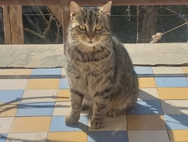 "Én napozok, de ti hol vagytok?"