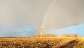 Szivárvány
