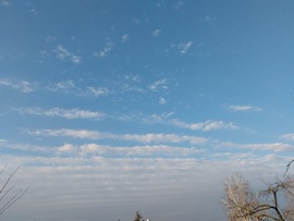 Szalagok