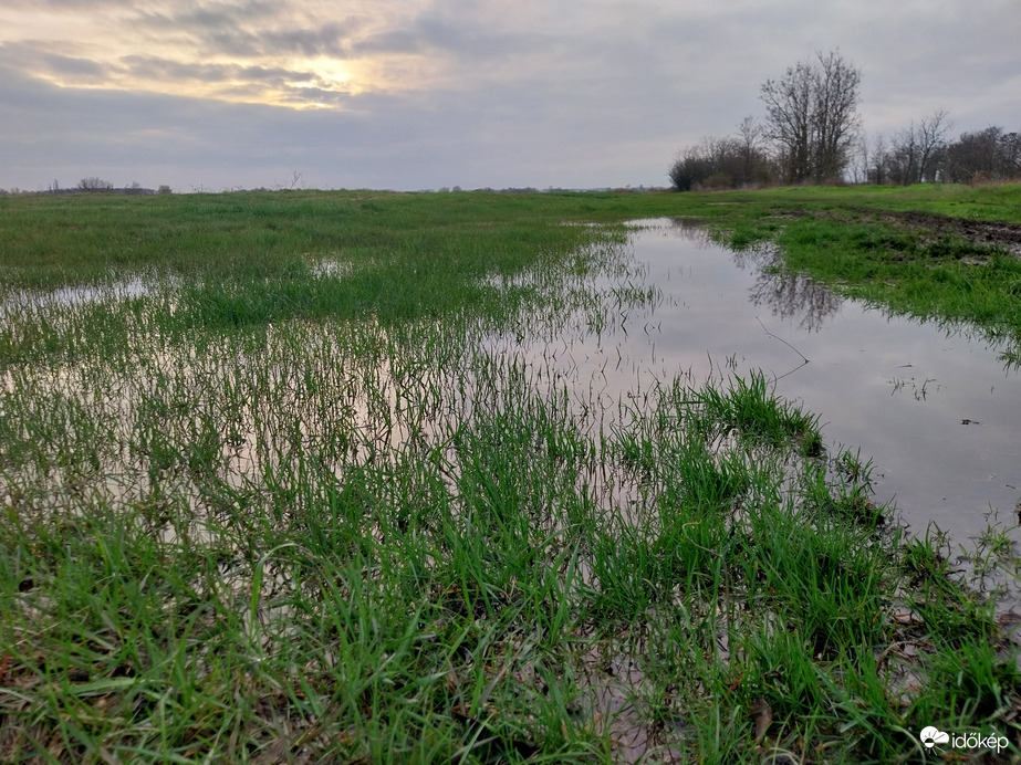 Töltődnek a vizes élőhelyek,