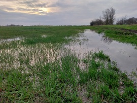 Töltődnek a vizes élőhelyek,